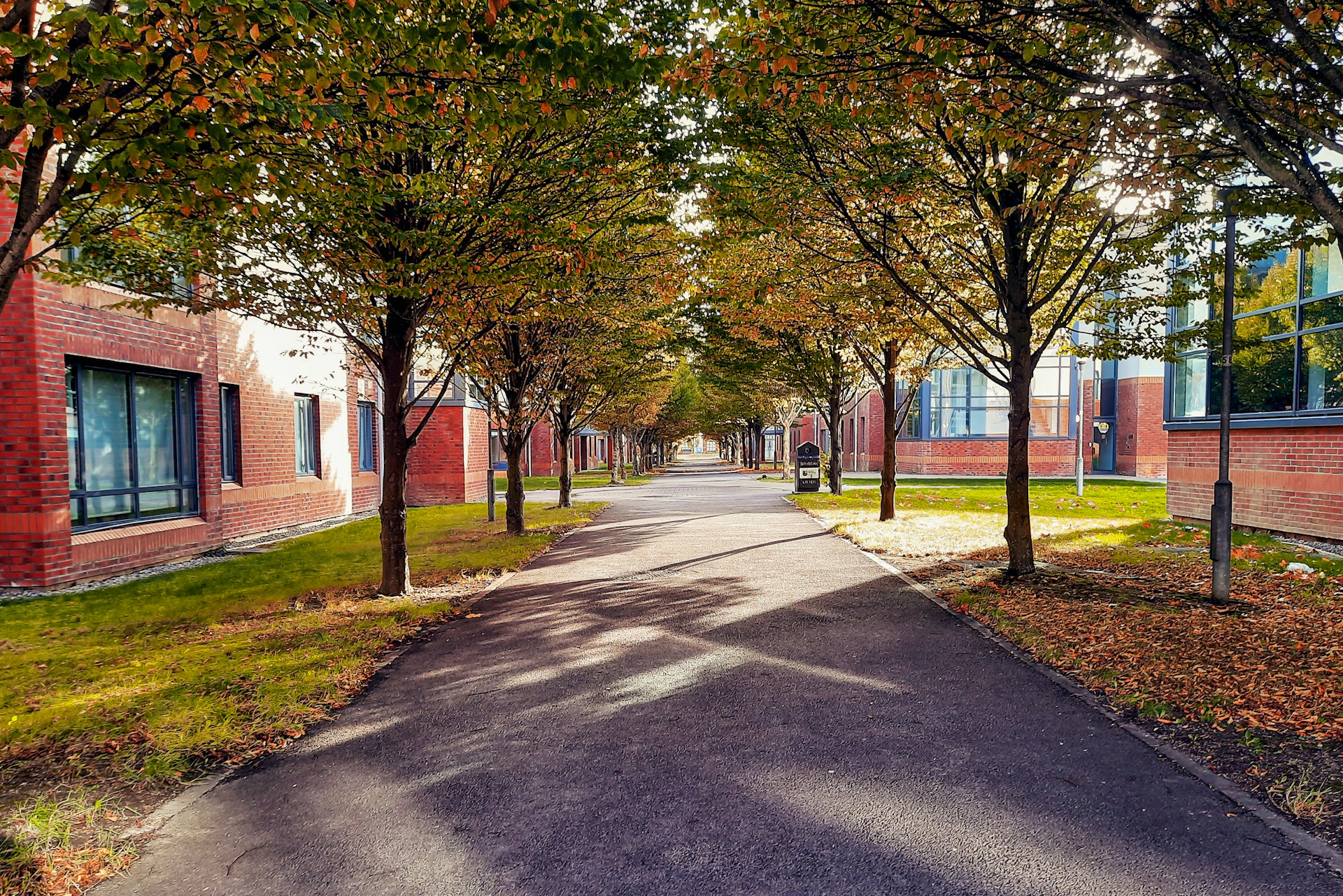 Study in Maynooth, Ireland