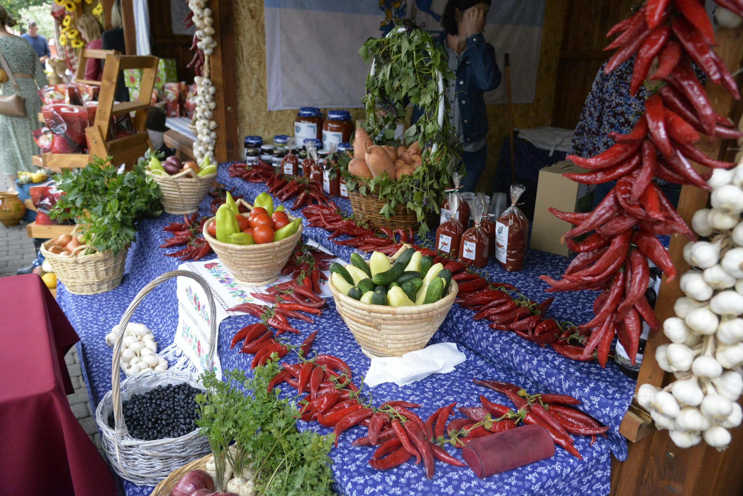 Student Life In Hungary - Hungarian Cuisine